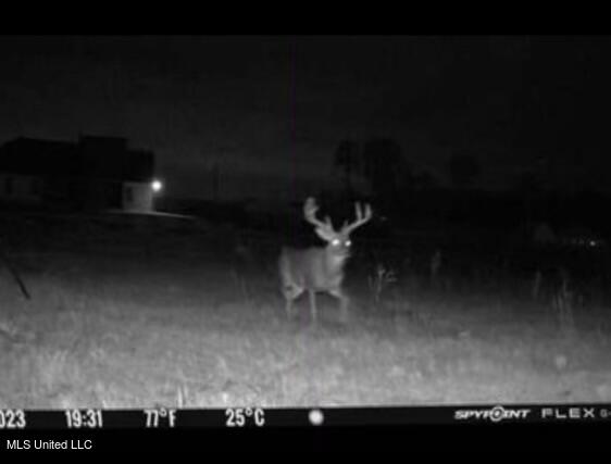 474 Stump Ridge Road Brandon, MS 39047 - Photo 77 of 77 Screenshot 2024-09-12 at 18.49.40