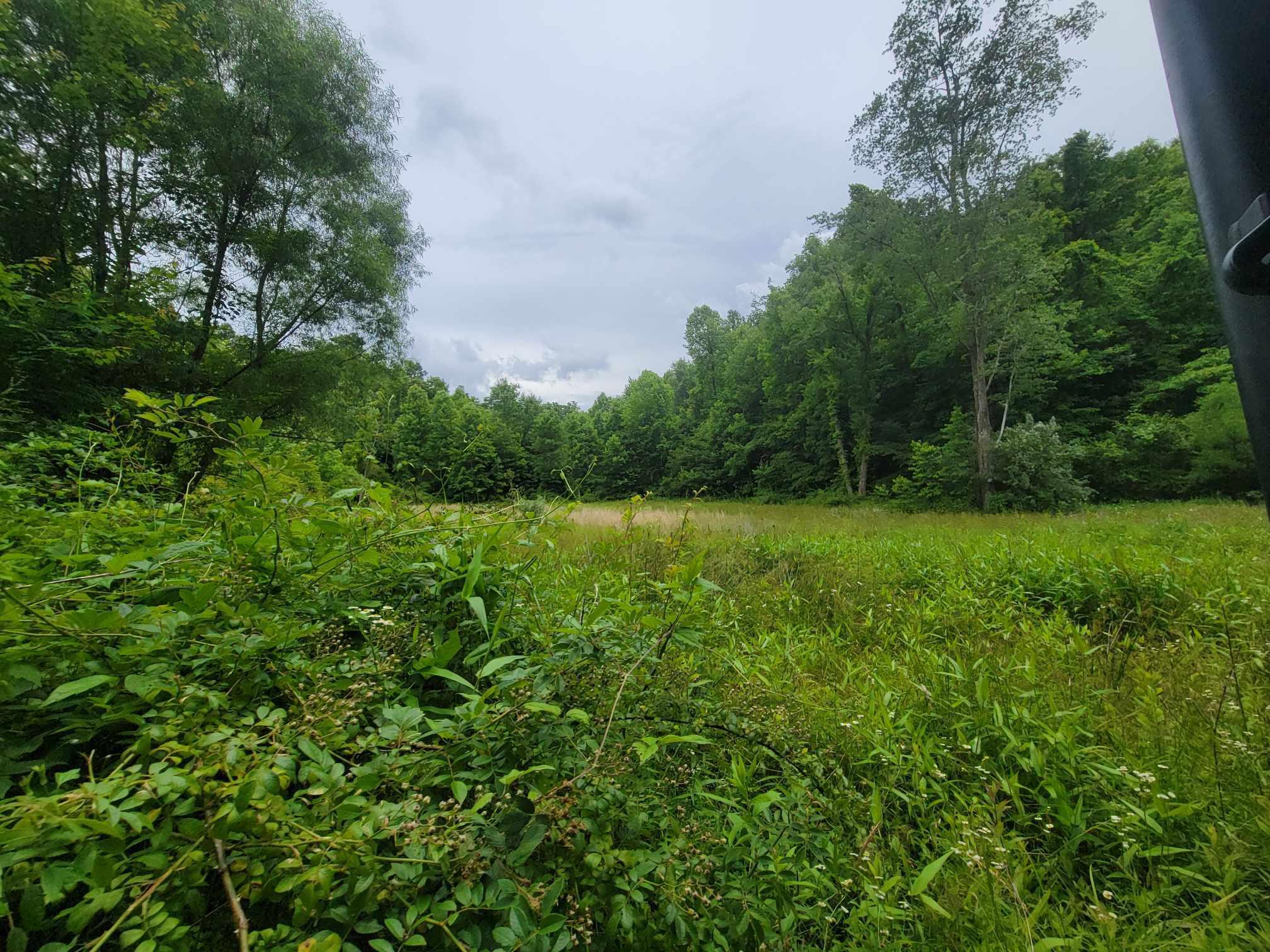 279 Mike Mcwhorter Road Tyner, KY 40486 - Photo 28 of 45 436546837_1006374240839978_7648778107343