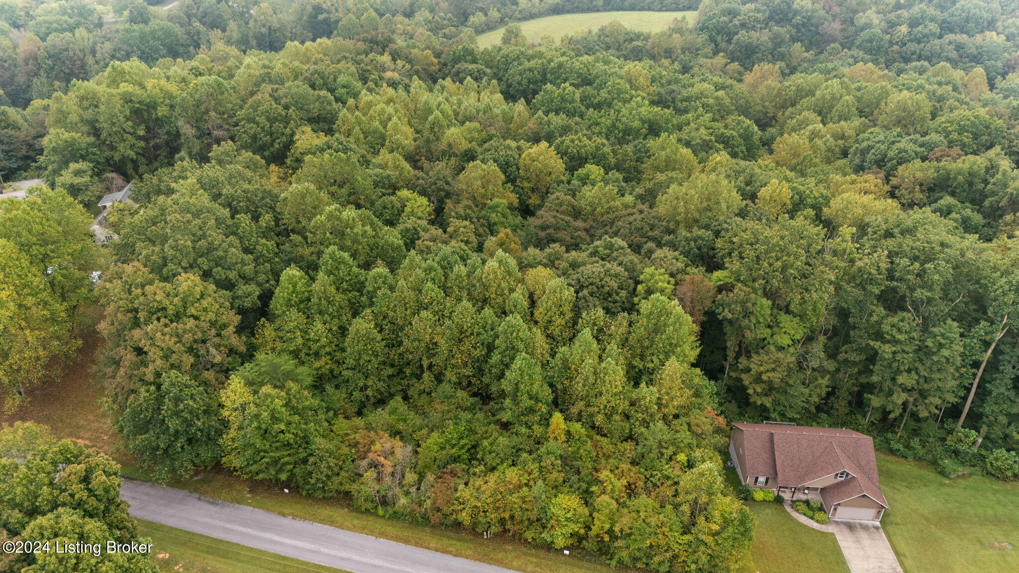 245 Hidden Cove Road Lucas, KY 42156 - Photo 2 of 26 2-web-or-mls-DJI_20240923090652_0003_D
