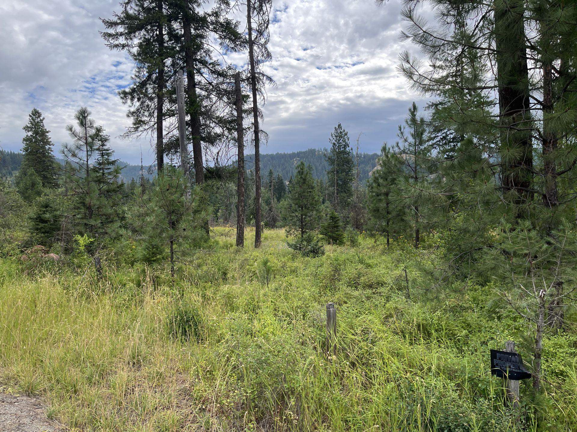 425 Best Chance Road Usk, WA 99180 - Photo 6 of 11