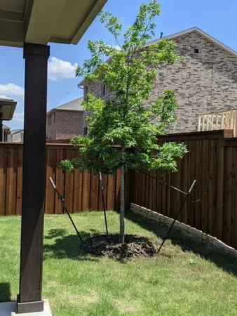 $3,600 | 260 Lee Roy Jordan Street, Irving, TX 75063