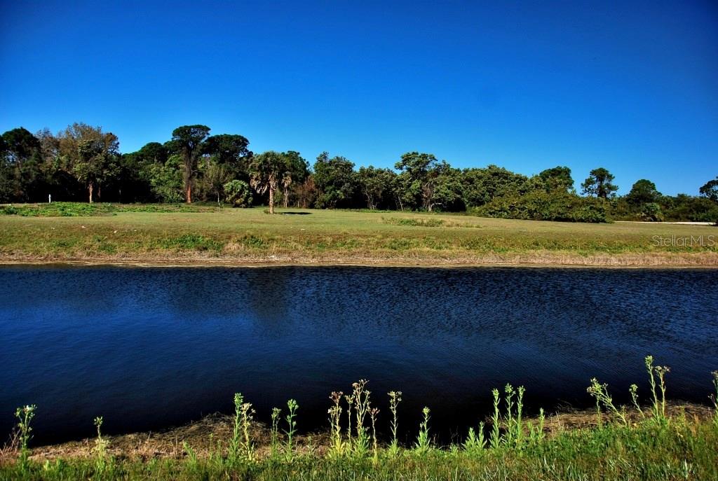 a view of a yard with an outdoor space