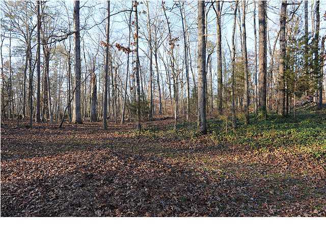 7737 Morgan Estates Road Harrison, TN 37341 - Photo 2 of 15 Additional Photo