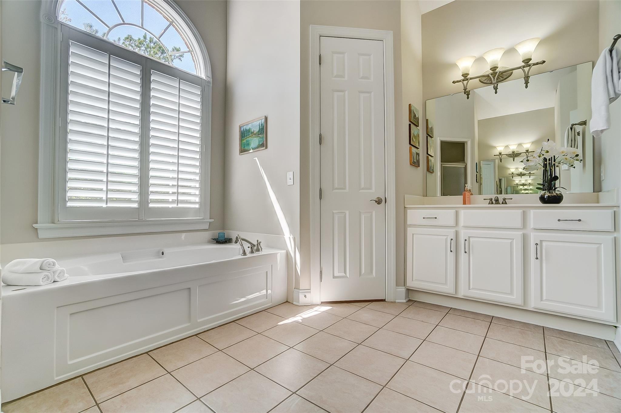 922 Cove Point Lane Tega Cay, SC 29708 - Photo 25 of 48 a spacious bathroom with a mirror a bathtub and a sink