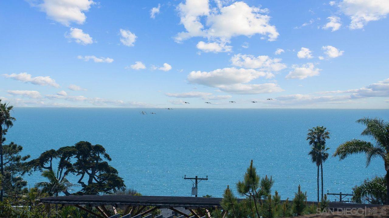 320 11th Street Del Mar, CA 92014 - Photo 18 of 45 a view of a yard