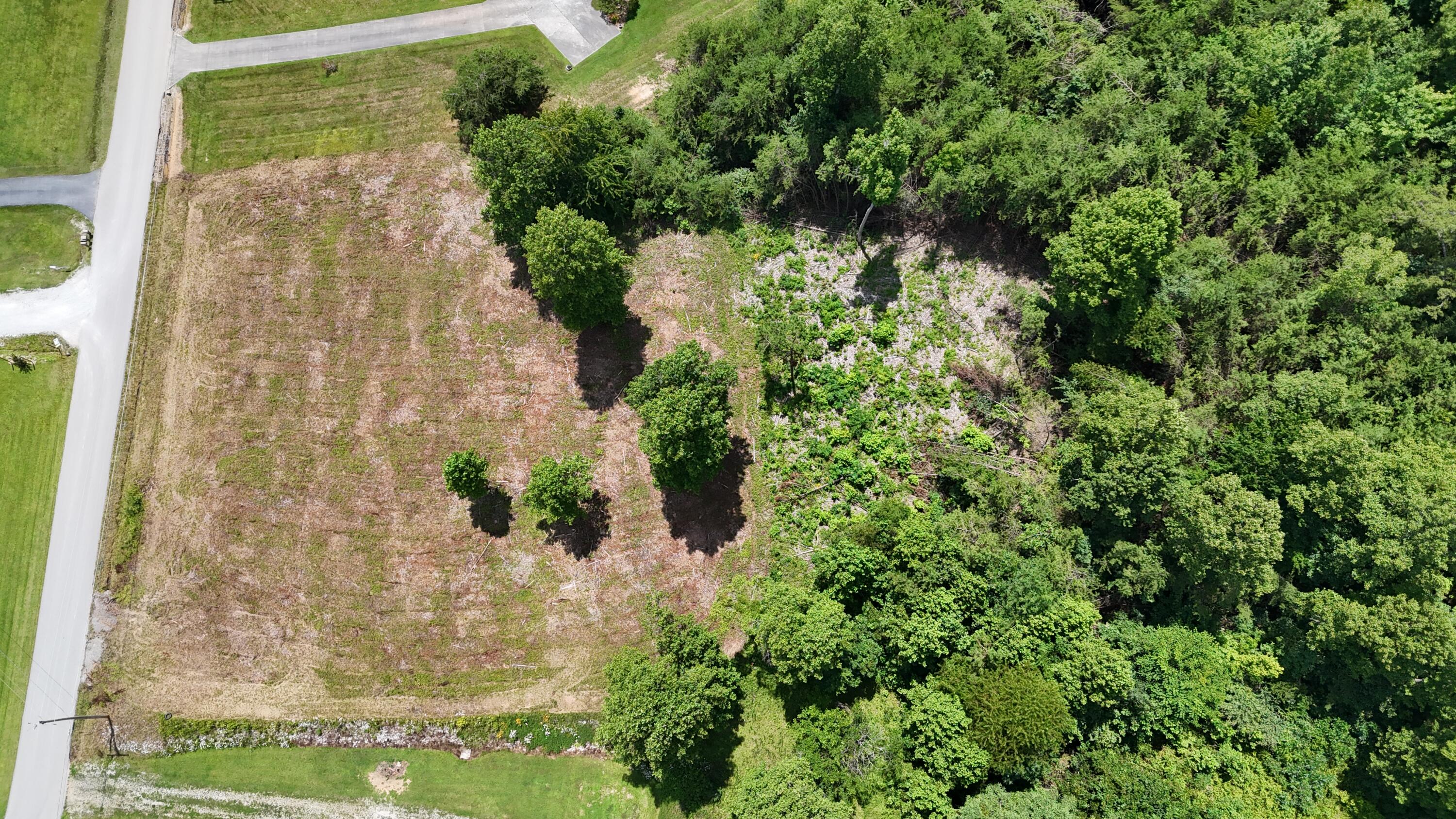 999 Lick Fork Road London, KY 40741 - Photo 9 of 21 DJI_20260717124304_0285_D