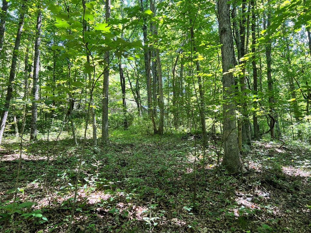 Tbd Nursery Road, Unit 8 9 10 Laurel Fork, VA 24352 - Photo 18 of 21 Gallery Image 18