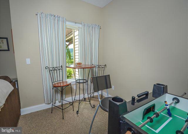 267 Mosser Road, Unit 6 McHenry, MD 21541 - Photo 14 of 19 Interior (General)