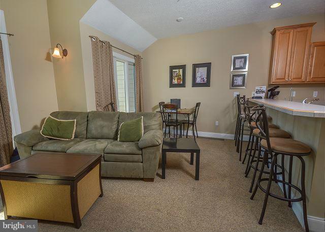 267 Mosser Road, Unit 6 McHenry, MD 21541 - Photo 9 of 19 Family Room