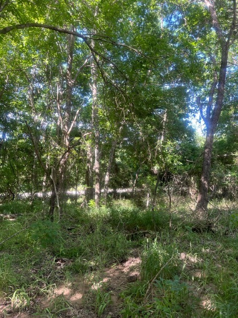 366 Riverside Drive Bastrop, TX 78602 - Photo 10 of 10 Gallery Image 10