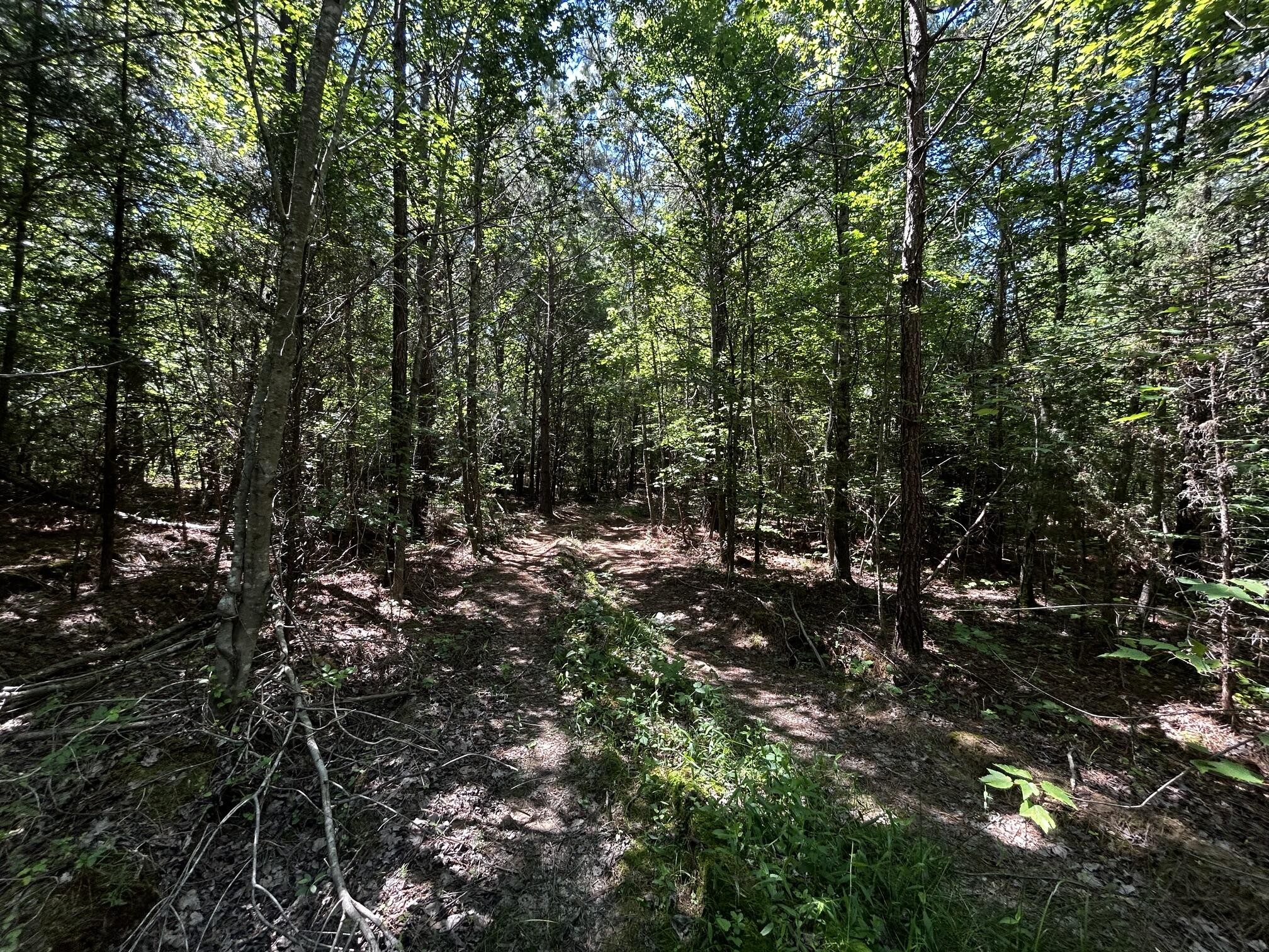 34 Tennessee 304 Ten Mile, TN 37880 - Photo 29 of 42