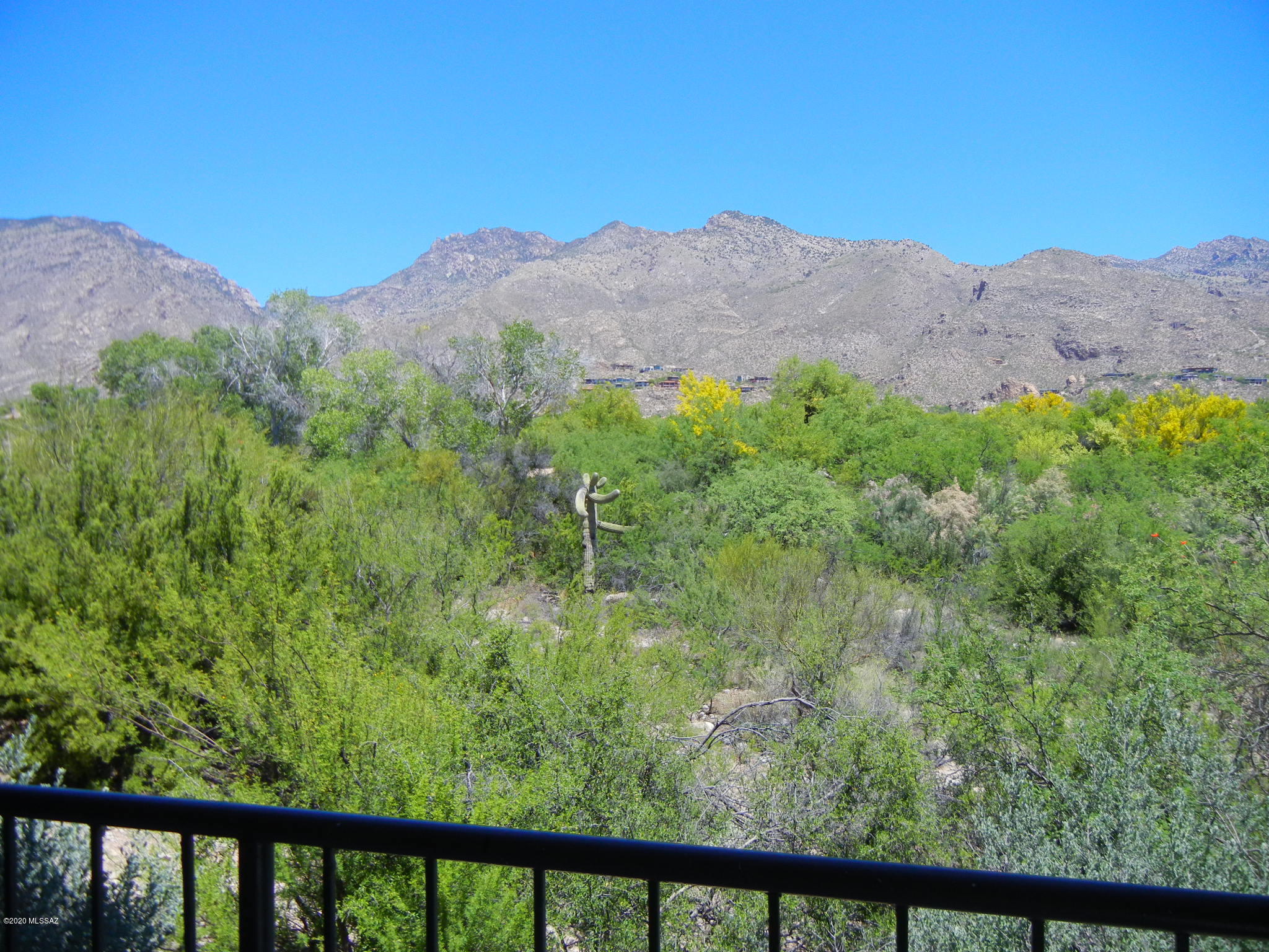 5800 North Kolb Road, Unit 14175 Tucson, AZ 85750 - Photo 16 of 22 Gallery Image 16