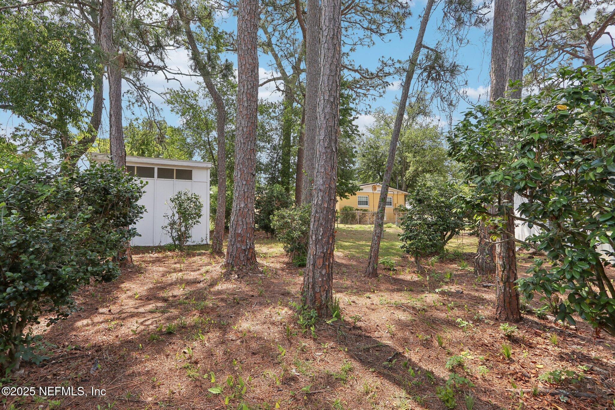 3831 Rogero Road Jacksonville, FL 32277 - Photo 29 of 33 a view of a trees and yard