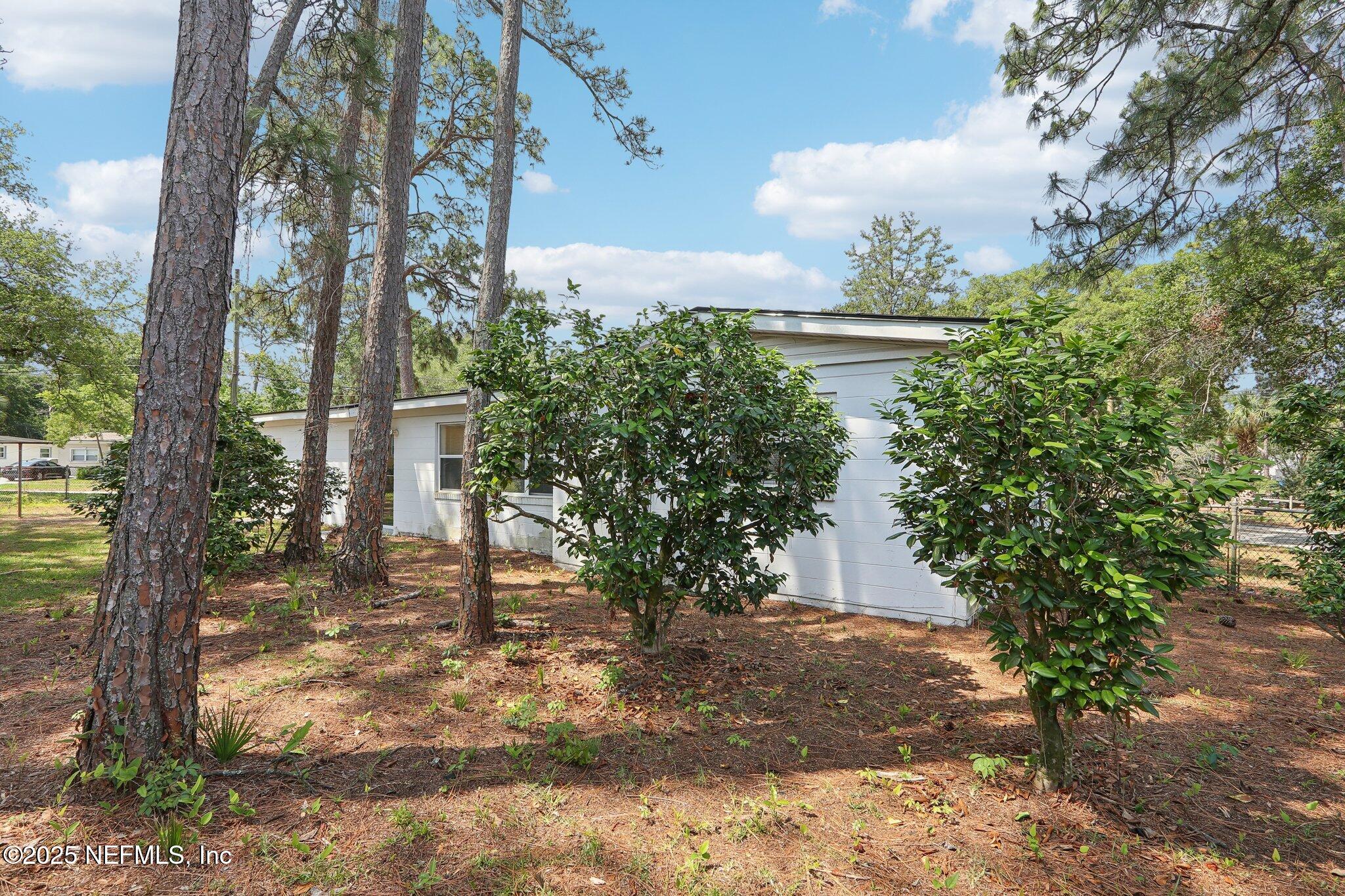3831 Rogero Road Jacksonville, FL 32277 - Photo 30 of 33 a view of a yard with plants and trees