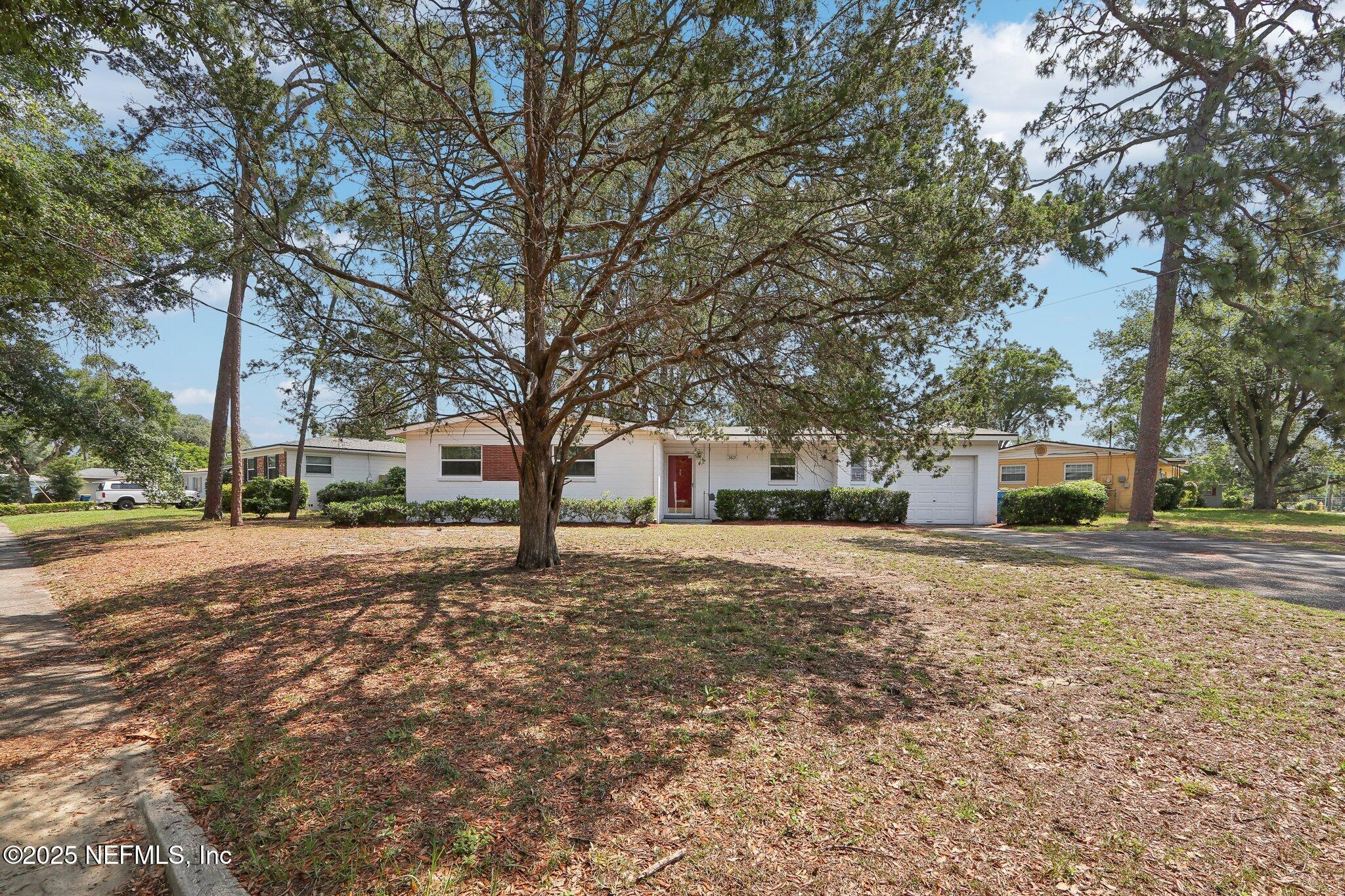 3831 Rogero Road Jacksonville, FL 32277 - Photo 31 of 33 a house with trees in front of it