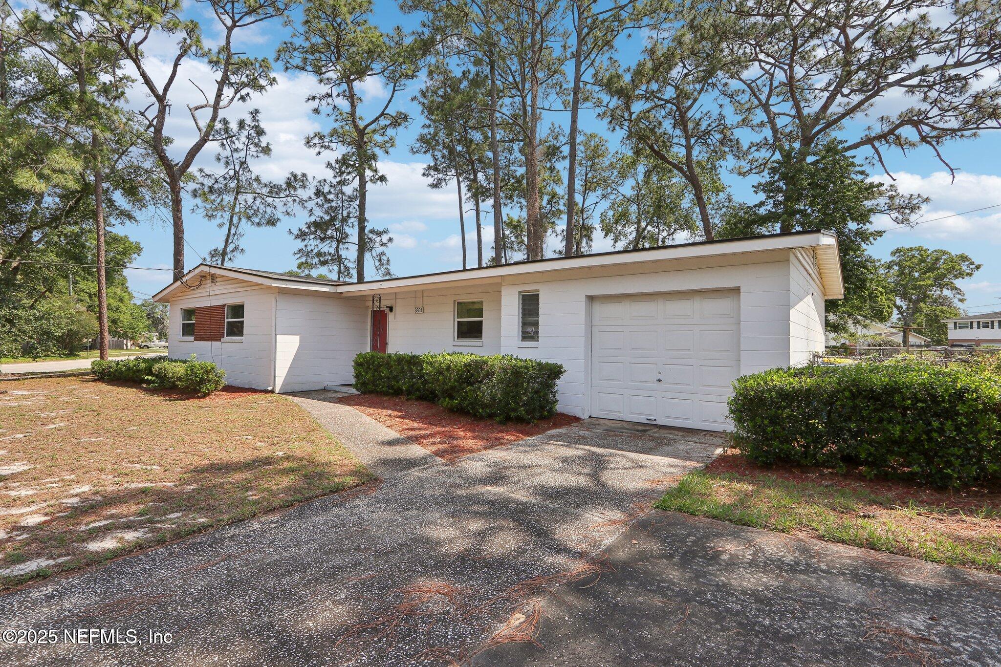 3831 Rogero Road Jacksonville, FL 32277 - Photo 32 of 33 a view of a house with a yard covered with trees