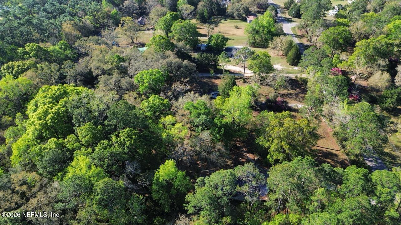 86288 Macaw Road Yulee, FL 32097 - Photo 13 of 29 Aerial view(12)
