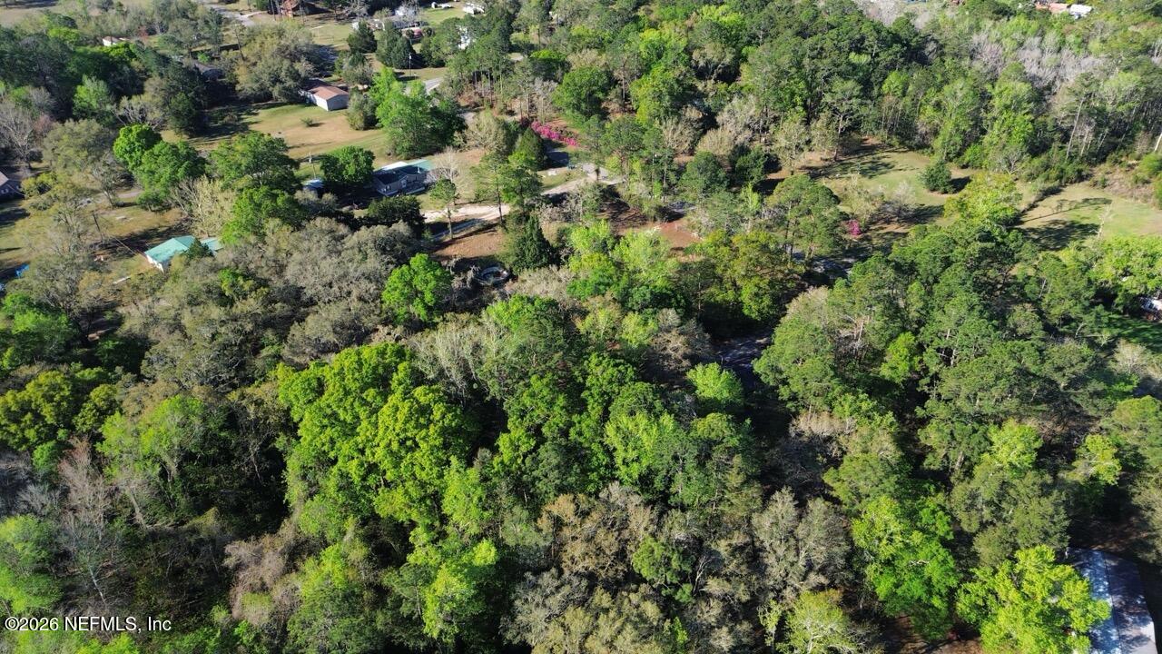 86288 Macaw Road Yulee, FL 32097 - Photo 5 of 29 Aerial view(4)
