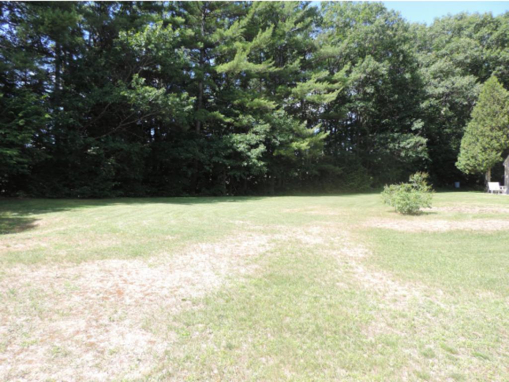 52 Goodwin Road Gilford, NH 03249 - Photo 14 of 32 Gallery Image 14