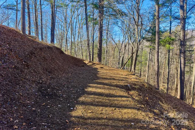 a view of outdoor space