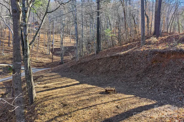 a view of a backyard with large trees