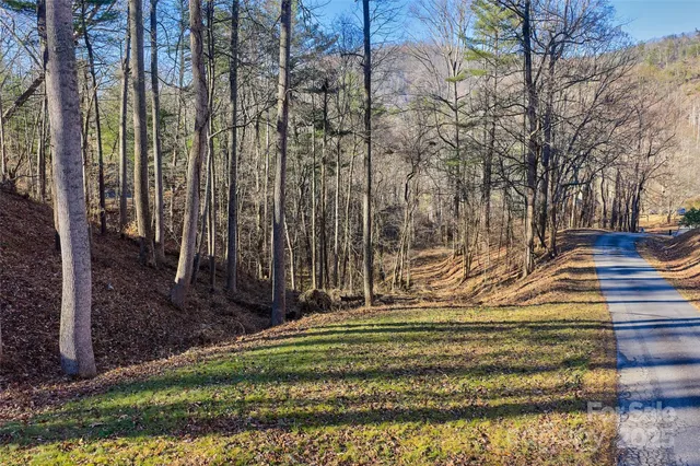 a view of backyard with green space