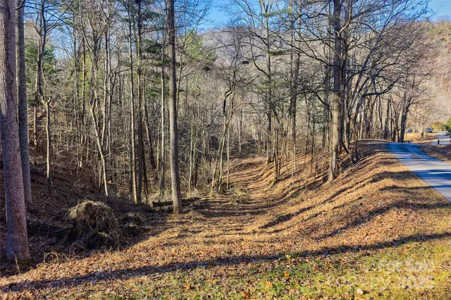 a view of a backyard of the house