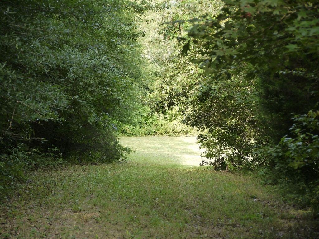 2350 Evanstown Road Parsons, TN 38363 - Photo 12 of 34 Gallery Image 12