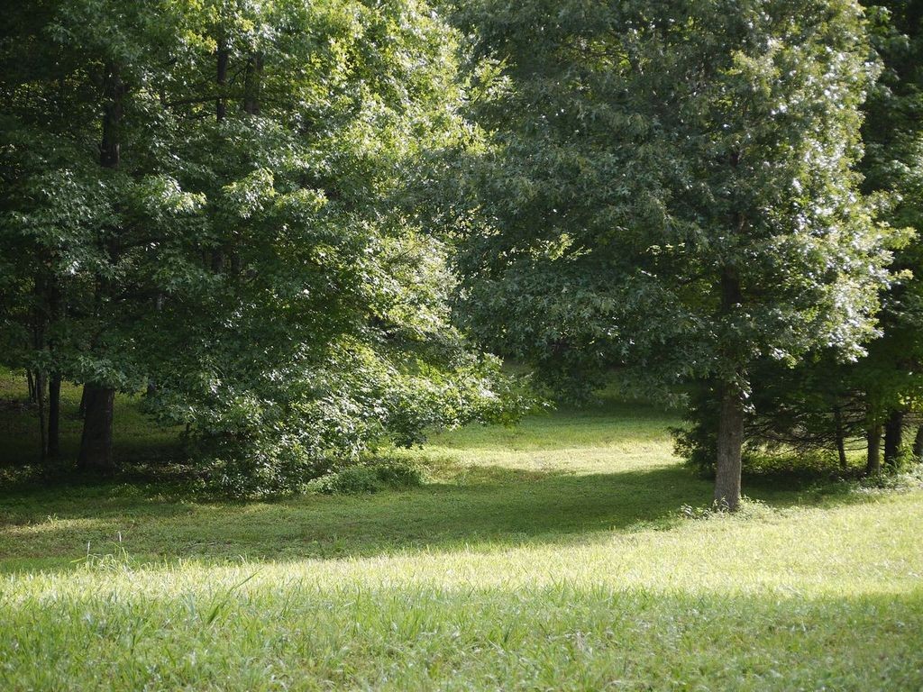 2350 Evanstown Road Parsons, TN 38363 - Photo 13 of 34 Gallery Image 13
