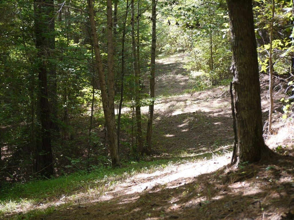2350 Evanstown Road Parsons, TN 38363 - Photo 19 of 34 Gallery Image 19