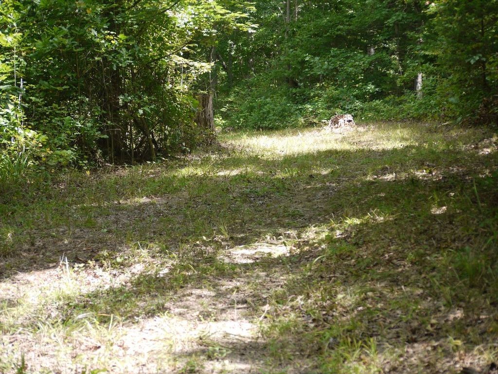 2350 Evanstown Road Parsons, TN 38363 - Photo 20 of 34 Gallery Image 20