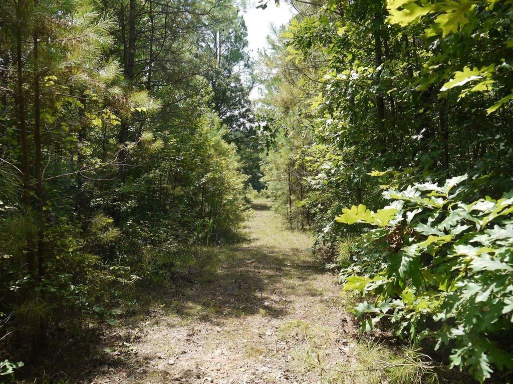 2350 Evanstown Road Parsons, TN 38363 - Photo 24 of 34 Gallery Image 24