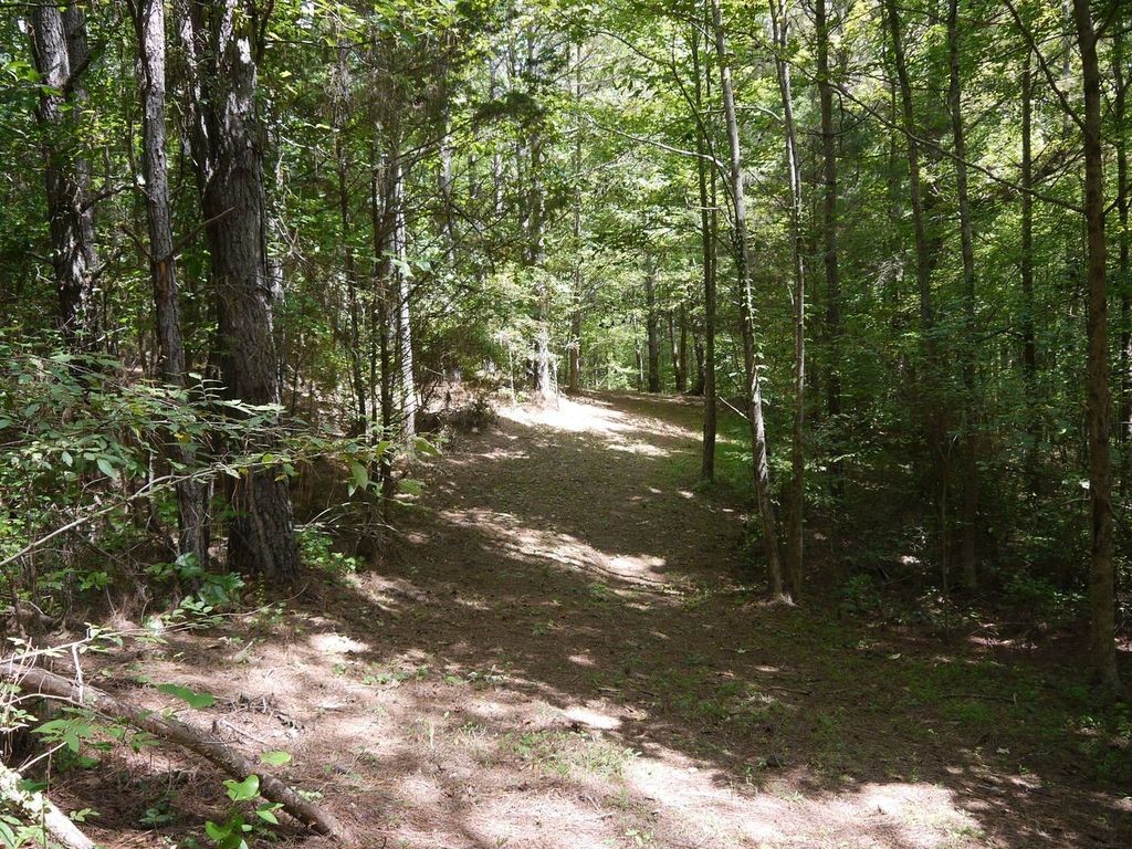 2350 Evanstown Road Parsons, TN 38363 - Photo 27 of 34 Gallery Image 27