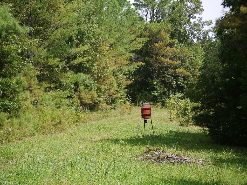 2350 Evanstown Road Parsons, TN 38363 - Photo 7 of 34 Gallery Image 7