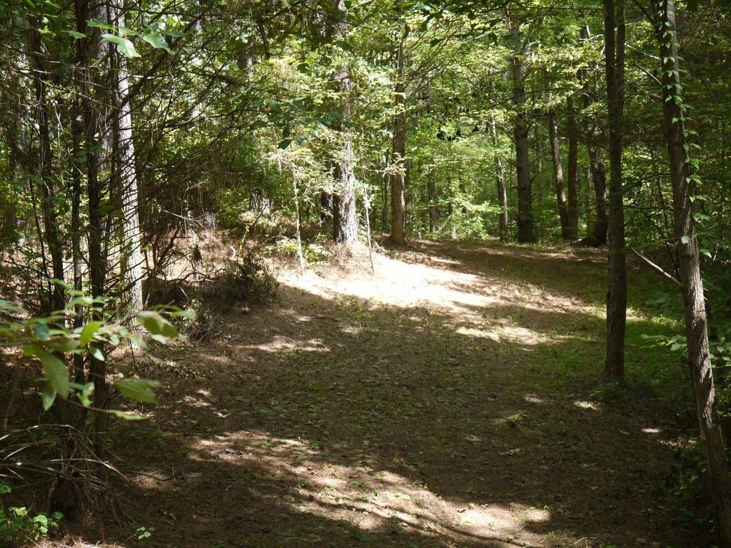 2350 Evanstown Road Parsons, TN 38363 - Photo 8 of 34 Gallery Image 8