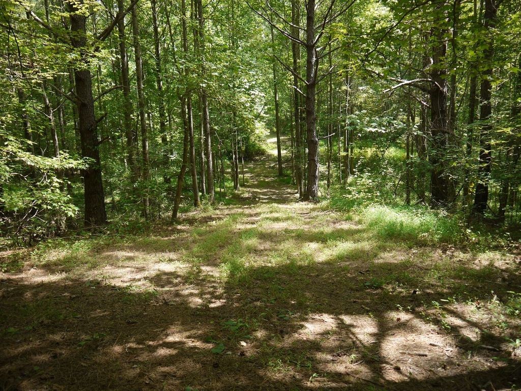 2350 Evanstown Road Parsons, TN 38363 - Photo 9 of 34 Gallery Image 9