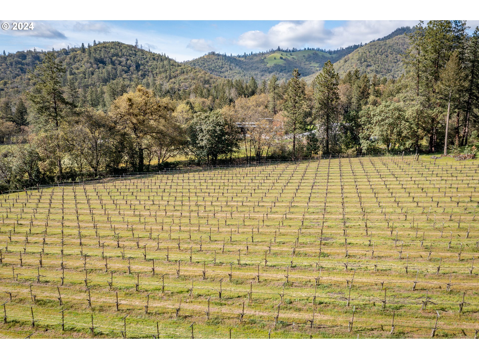 818 Slagle Creek Road Grants Pass, OR 97527 - Photo 45 of 47