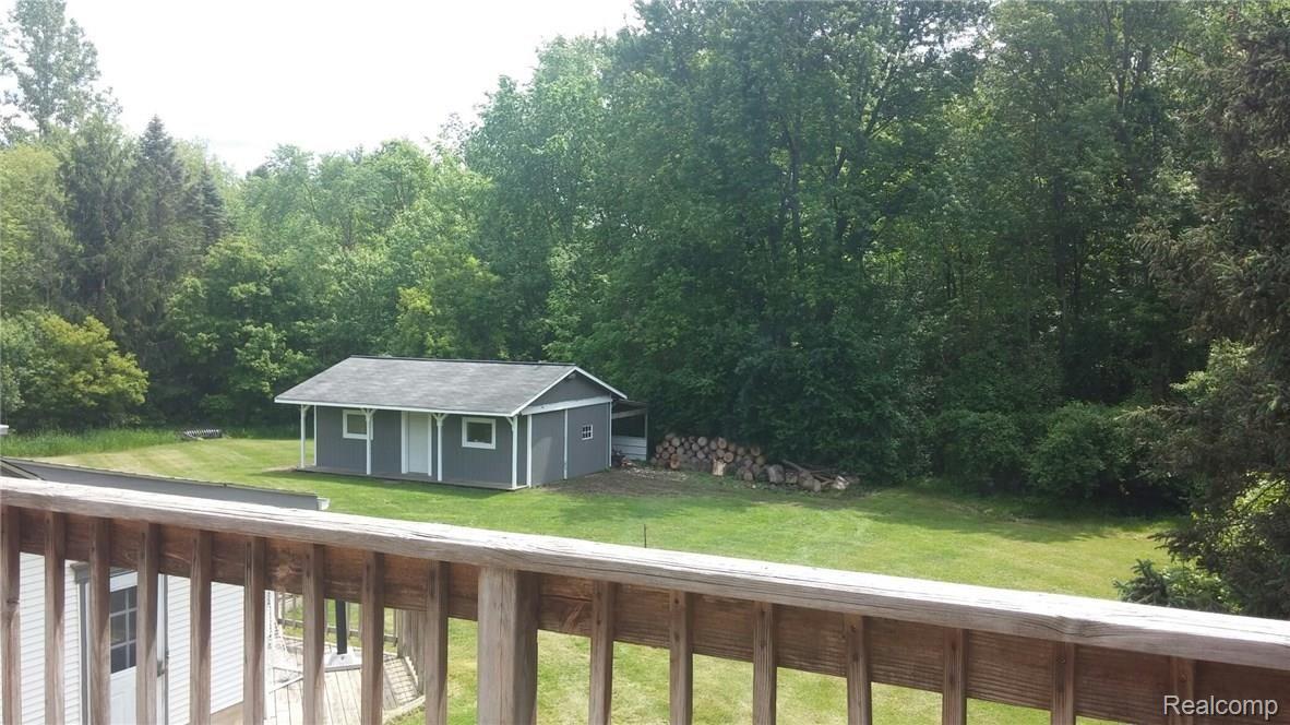 back yard.jpg