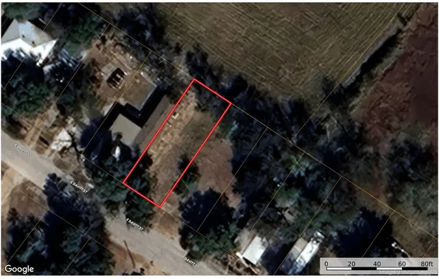 a view of a yard with a tree