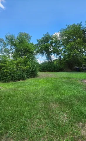 a view of a grassy field with trees in the background