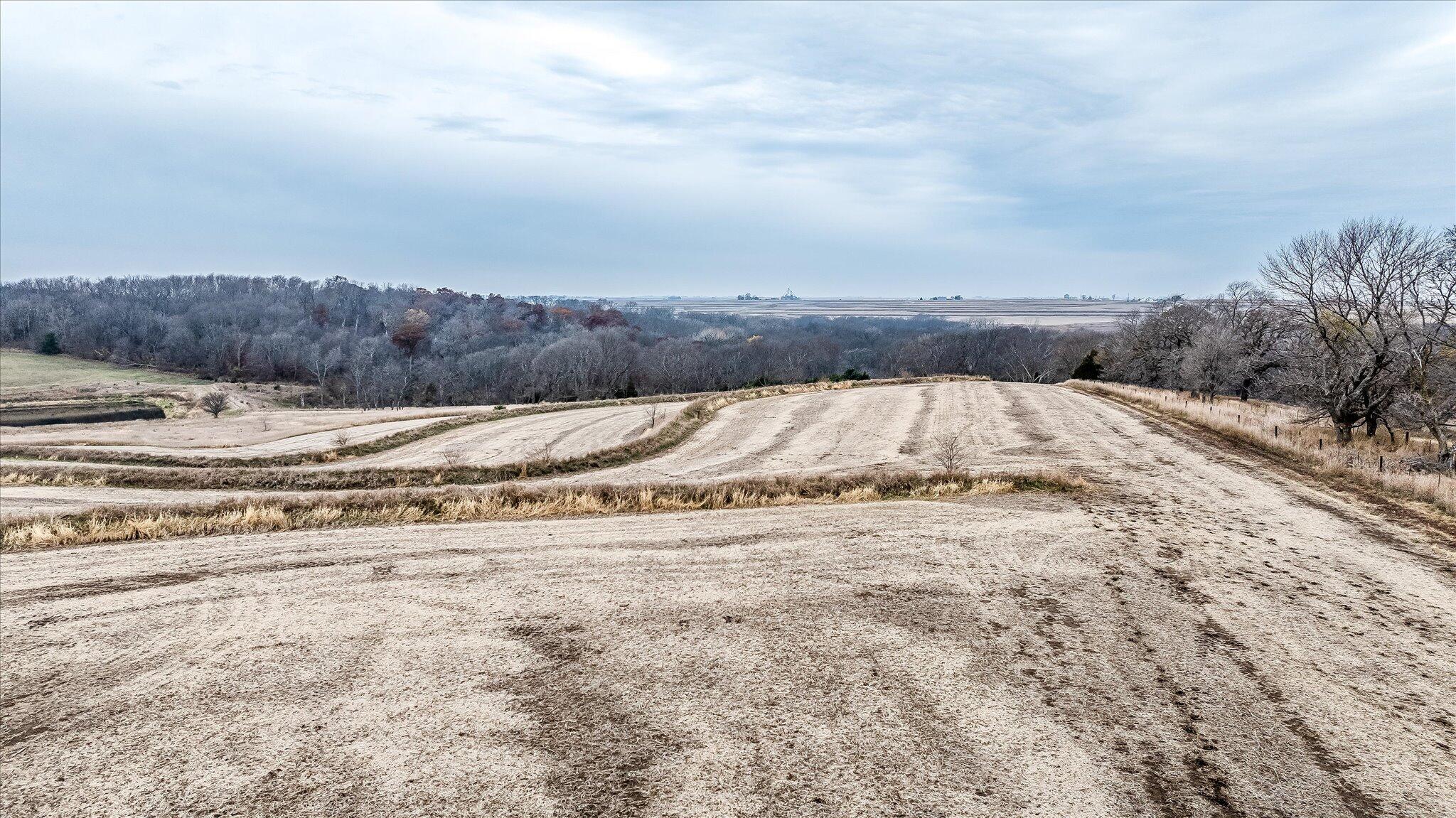 44290 Chestnut Road Carson, IA 51525 - Photo 8 of 19 08-DJI_20241108020703_0040_D