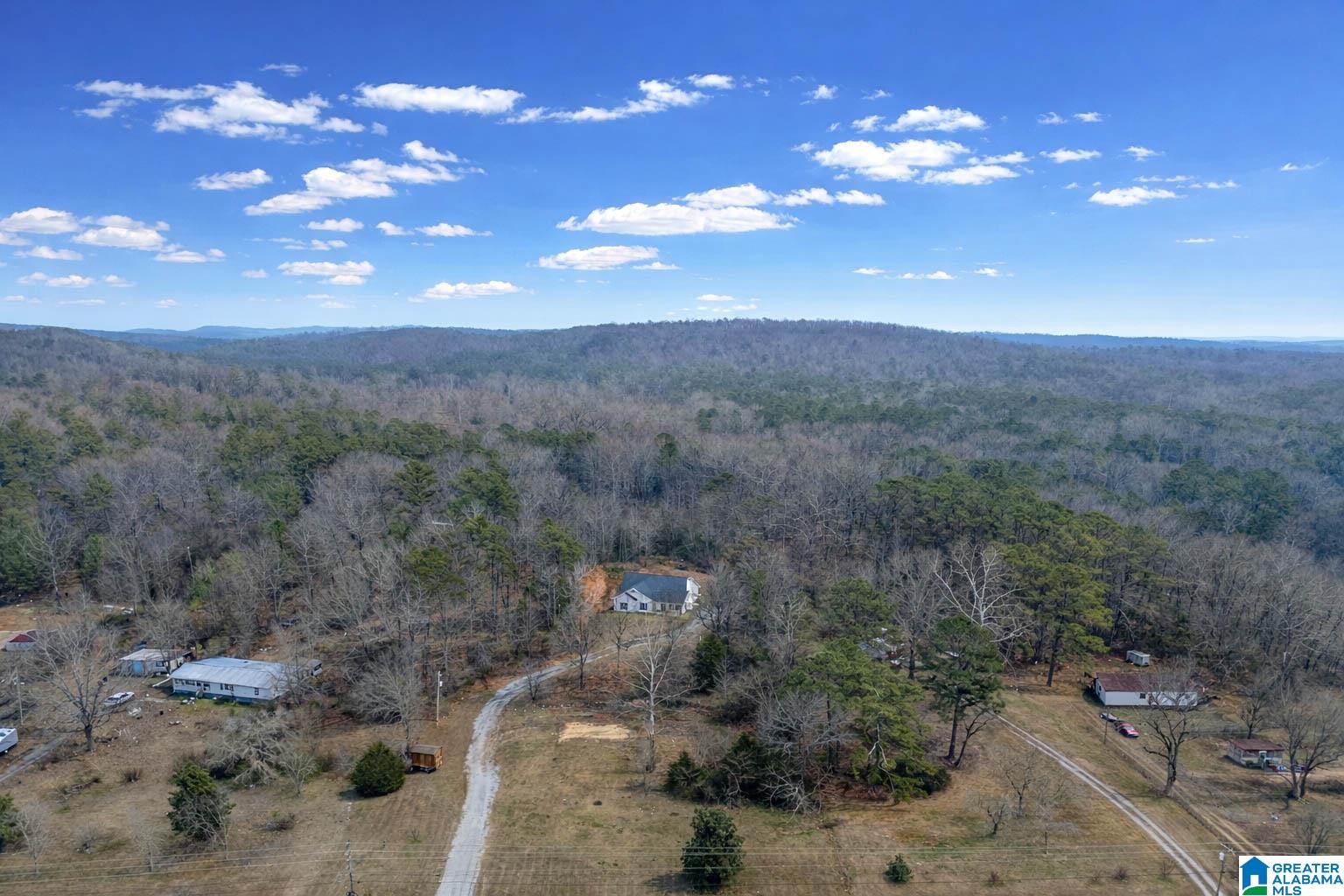 10940 Mudd Street Ohatchee, AL 36271 - Photo 34 of 37