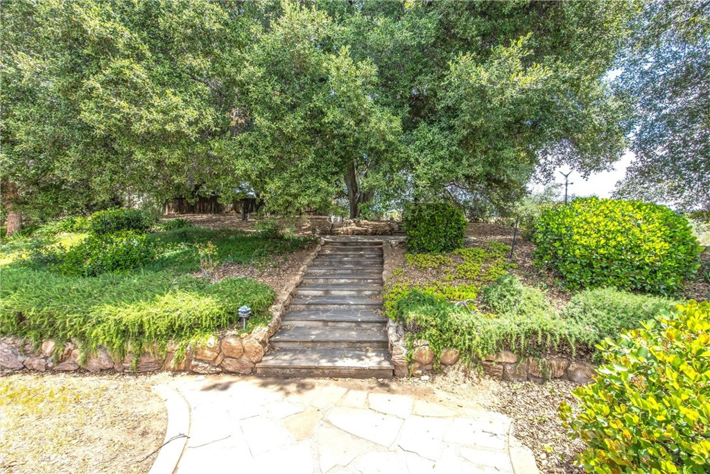 37295 Oak View Road Yucaipa, CA 92399 - Photo 47 of 59 a view of yard with green space