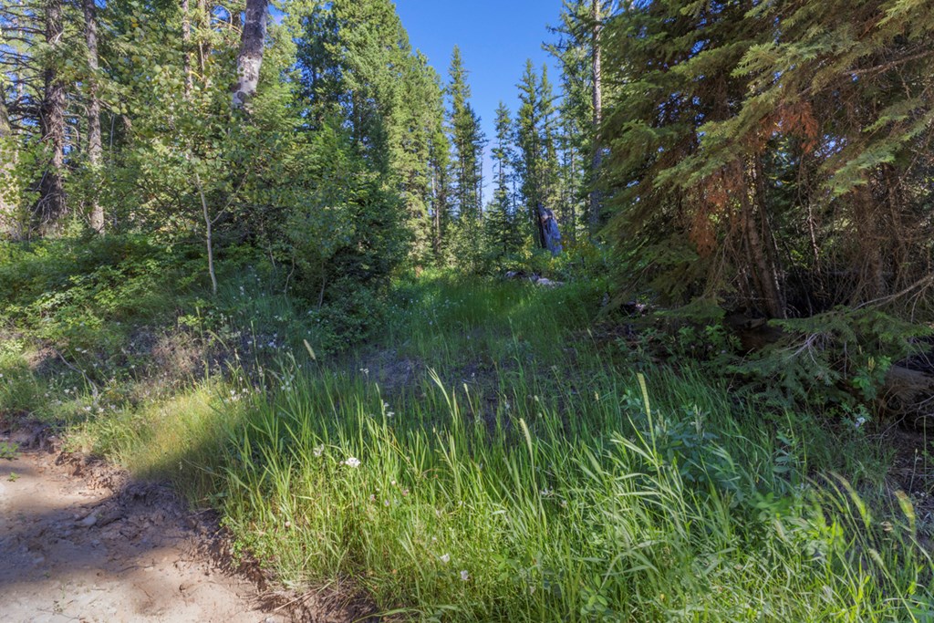 2 Arling Trail, Unit 5A45 Cascade, ID 83611 - Photo 11 of 15 Old Roughed in Driveway
