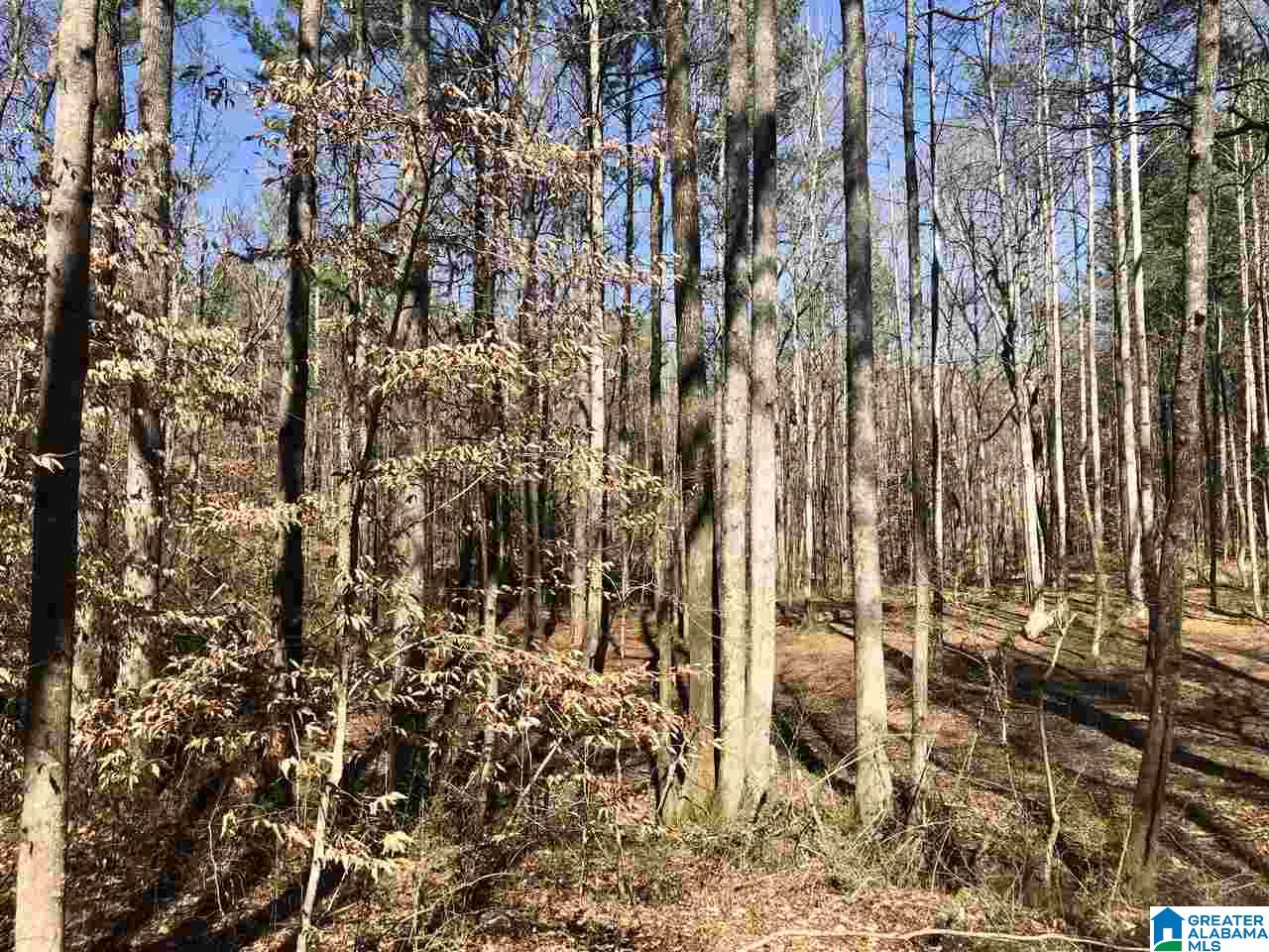 Campbell Street, Unit 1 Heflin, AL 36264 - Photo 14 of 15