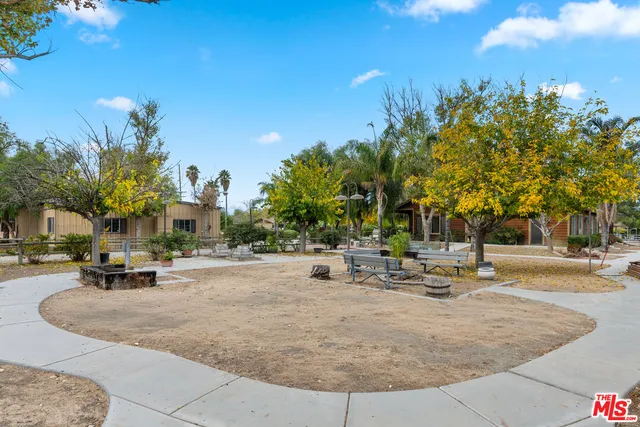a row of palm trees sitting on a sidewalk