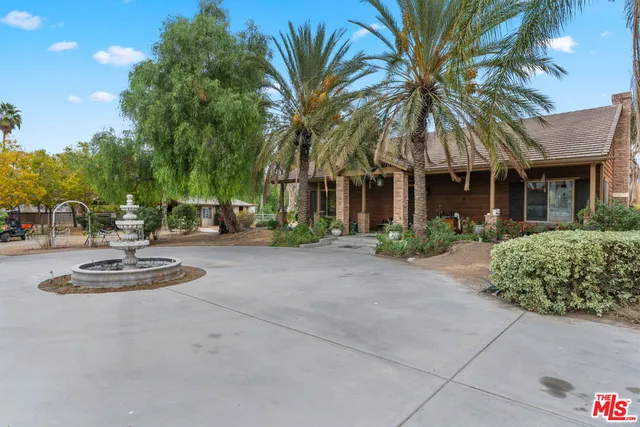 a couple of palm trees in front of house