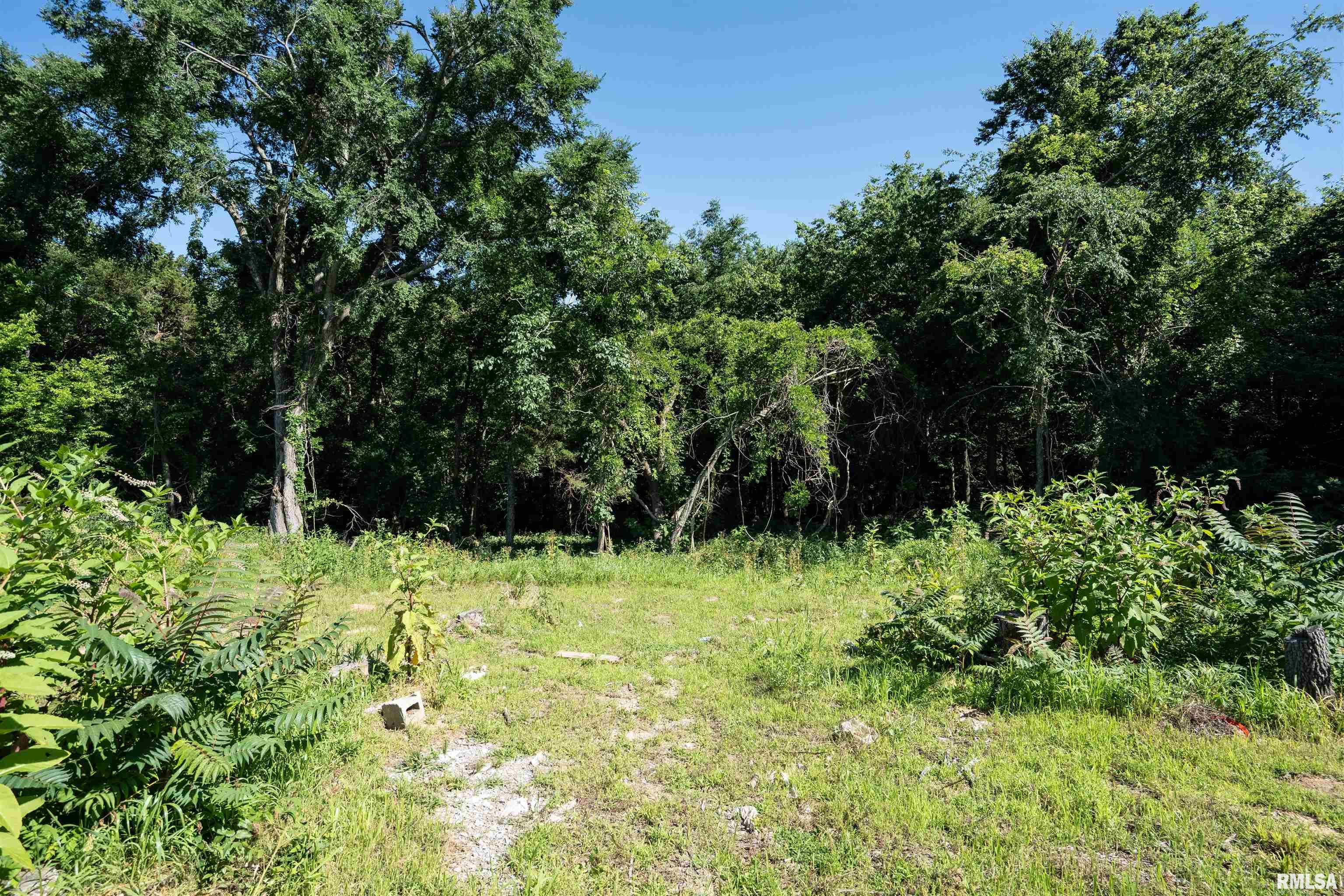 710 Old North Marion Road Goreville, IL 62939 - Photo 26 of 33