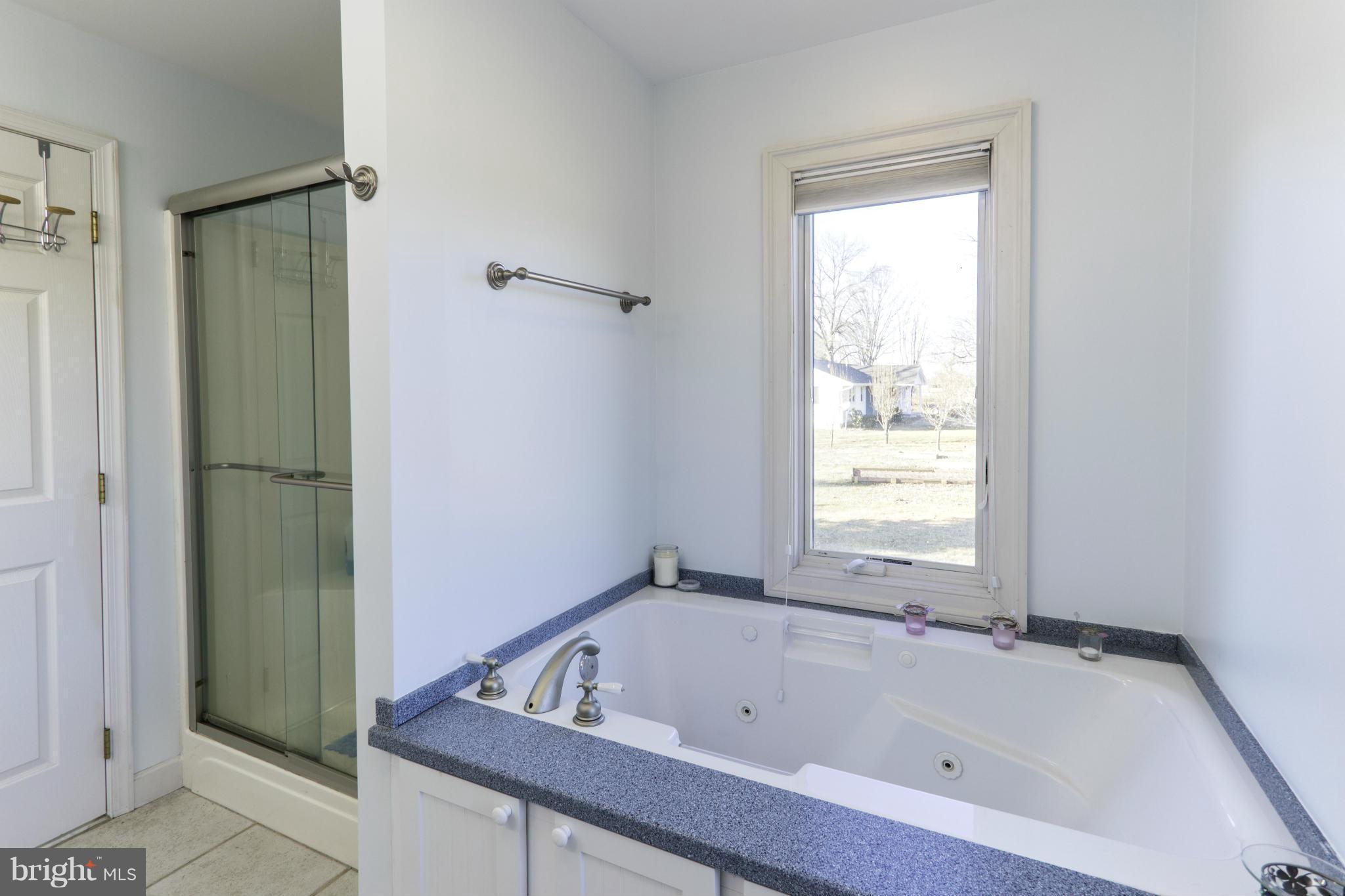 5762 Swamp Circle Road Deale, MD 20751 - Photo 20 of 30 Soaking Tub & Sep. Shower