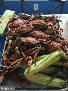 5762 Swamp Circle Road Deale, MD 20751 - Photo 30 of 30 Enjoy Your Catch of the Day!